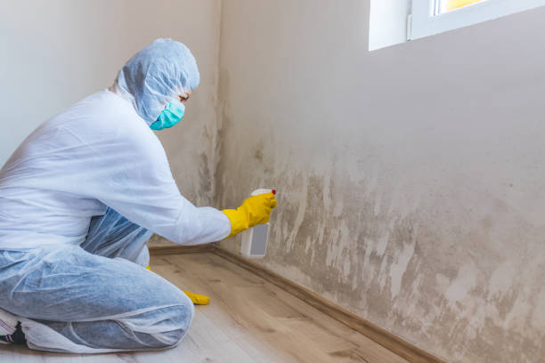 Mold Remediation specialist working in Hopkinton